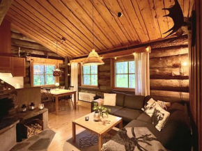 Lapland Lodge Pyhä, free wifi, sauna, ski in - ski out, Kemijärvi